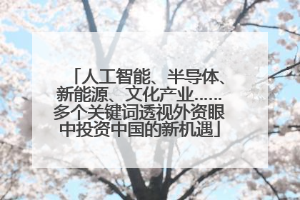 人工智能、半导体、新能源、文化产业……多个关键词透视外资眼中投资中国的新机遇
